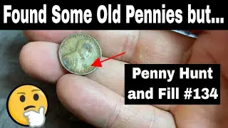 Found Old Pennies but... Penny Hunt and Fill #134