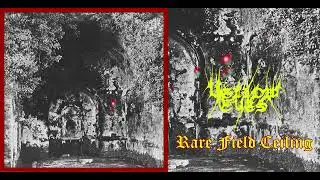 💀 Yellow Eyes - Rare Field Ceiling (2019) [Full Album] 💀
