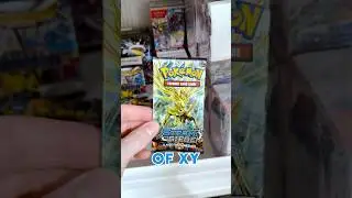 Открытие XY STEAM SIEGE в 2025 году?! #pokemoncards #pokemon #pokemoncardopening