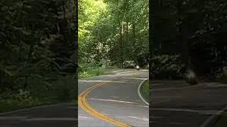 Tail of the dragon accident #bmws1000rr #tailofthedragon