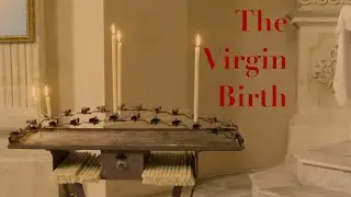 The Virgin Birth - We Tigers for The Awaiting Table