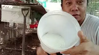 GOODBYE LANGAW‼️Paano ko ginawang walang amoy ang aking manokan?