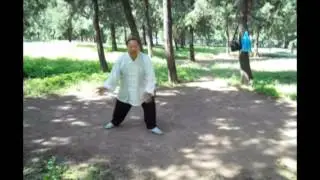 Liang BaGuaZhang Fixed 8 Palms Breakdown: 6th Palm