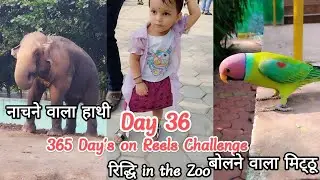 Indore Zoo || India's cleanest City Zoo || chidiya Ghar || चिड़िया घर