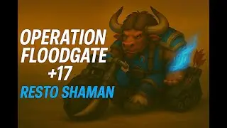 Operation Floodgate +17 | Farseer Resto Shaman Commentary | WoW TWW Season 3