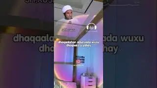 shiiq xuseen cali jabuuti || wacdi
