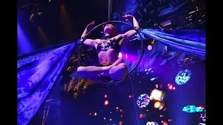 The Morpho Experience