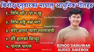 Best of Binod Danuwar | Nonstop Nepali Adhunik Song Jukebox 2025/2082 | Audio Hits Collection