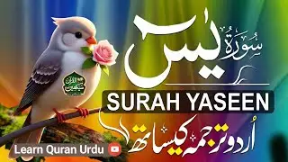 Surah Yaseen (Yasin) | Quran Recitation With Urdu Translation | Heart Touching Tilawat قاری منصور