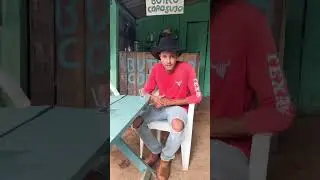 Largatixa não gosta do gerente e que da mijo ora ele
