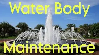 Water Body Maintenance💦🏊🚣🏄 #swimmingpool #waterbody #swimmingpool #viralvideo #viralshorts