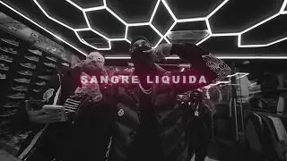 [FREE] Hades 66 x Hanzel La H ''SANGRE LIQUIDA'' Detroit Type Beat | Trap Instrumental 2026
