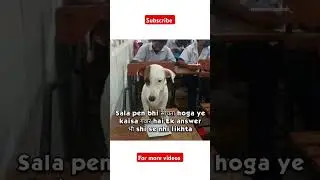 Funny exam memes #viral #funny #shorts #viralshorts #viralnews #trendingshorts