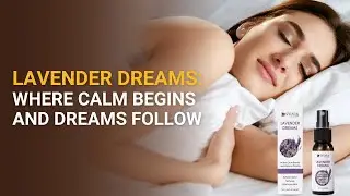 Lavender Dreams: Where Calm Begins and Dreams Follow