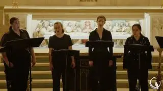 Le beau du monde S'efface - Pascal l'Estocart