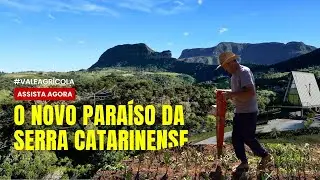 Ele pagou 45 mil em 