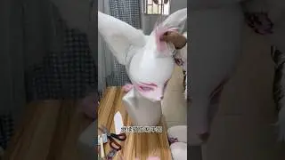 super detailed fursuit head making tutorial  #furry #tutorial #toturials #fursuit #therian #shorts