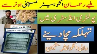 best incubators in Pakistan| hatching machine| egg hatching| incubators| Rehman incubators Lahore