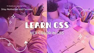 HEX Values in CSS | CSS Colors Tutorial for Beginners | Web Design Basics