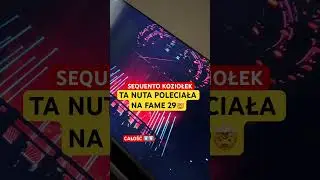 Zrobili to na FAME29🤯 #famemma #sequento #koziolek #fame29