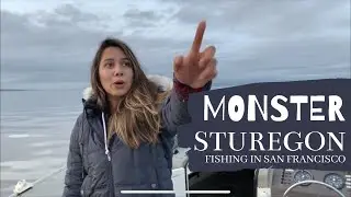 Fishing for Monster Sturgeon in San Francisco Bay Area