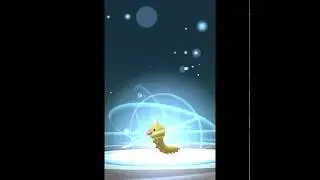 Pok&eacute;mon GO: Evolution of Shiny Weedle to Kakuna and thereafter to Beedrill | Weedle Community Day |