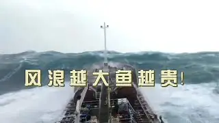 风浪越大鱼越贵！海上遭遇大风浪到底有多恐怖？