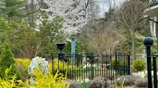 Spring Garden in Mid April (4/13-19/2025)
