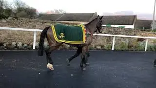 Pennine Cross wins at Catterick