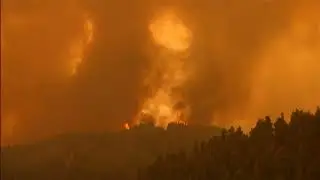 Weather Events 2021 - Wildfires - international help (Greece) (12) - ITV News - 8 August 2021