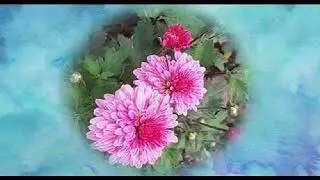 Where happiness lives....... Rupert Spira
