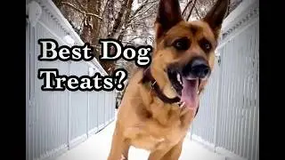 The 7 Best Treats for German Shepherds (Healthy, High-Value, and GSD-Approved)