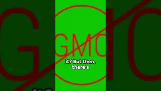 GMOs: Savior or saboteur?