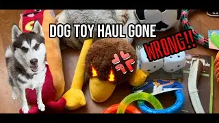 Dog Toy Haul GONE WRONG!! Husky gets new toys!! Evil duck comes home with us 😱