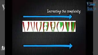 #Cleaning the canal🔸️Dr Reham hassen #endo#basics #doctor #dental_medicine