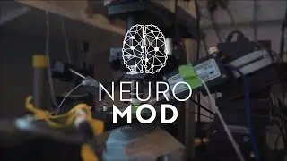 NeuroMod Institute &ndash; Modeling in neuroscience and cognition