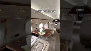 Tour of our Gulfstream GV 🛩️ #aviation #luxurytravel #privatejet