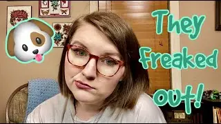 THEY WERE MESSING WITH MY DOGS! | STORYTIME