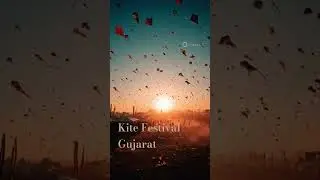 kite festival Gujarat #gujarat #metaai #ai #youtube #ahmedabad #surat#rajkot