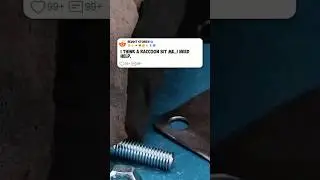 I think a RACCOON BIT ME I need help!.😮😵 #reddit