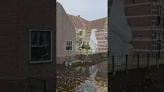 😁🐻&zwj;❄️ Amersfoort The Netherlands Museum Flehite PolarBear#travel#shorts