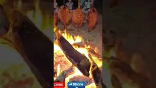 Chotiari Dam Sanghar |Sindh picnic point #foryou #streetfood #health #food