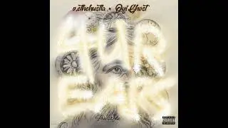 v.ethehustla x OyiGhost - 4UR EARS freestyle ,MNM by TonTee prod by@BeatsbySCVTTANA #sahiphop