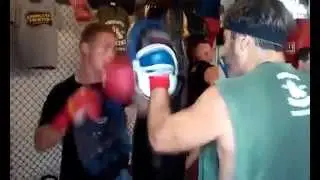 Absolute Boxing & Fitness Sarasota