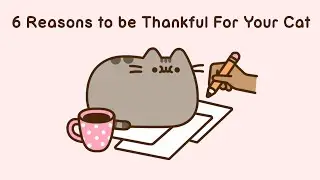 Pusheen: 6 причин быть благодарным своему коту