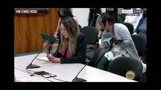 Haylin Dennison, parent of a transgender youth, gives testimony in support of HB1300 | Hawaii Senate