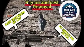AGM Spectrum 4K LRF and FX Impact M4 cleaning up farm pests