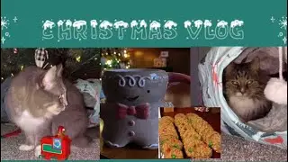 Christmas Vlog: Oatmeal Chocolate Chip Cookies and Cats Playing