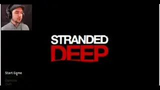 CASTAWAY  THE GAME   Stranded Deep