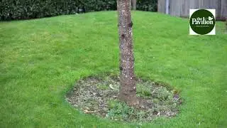 Gardening advice via remote video call